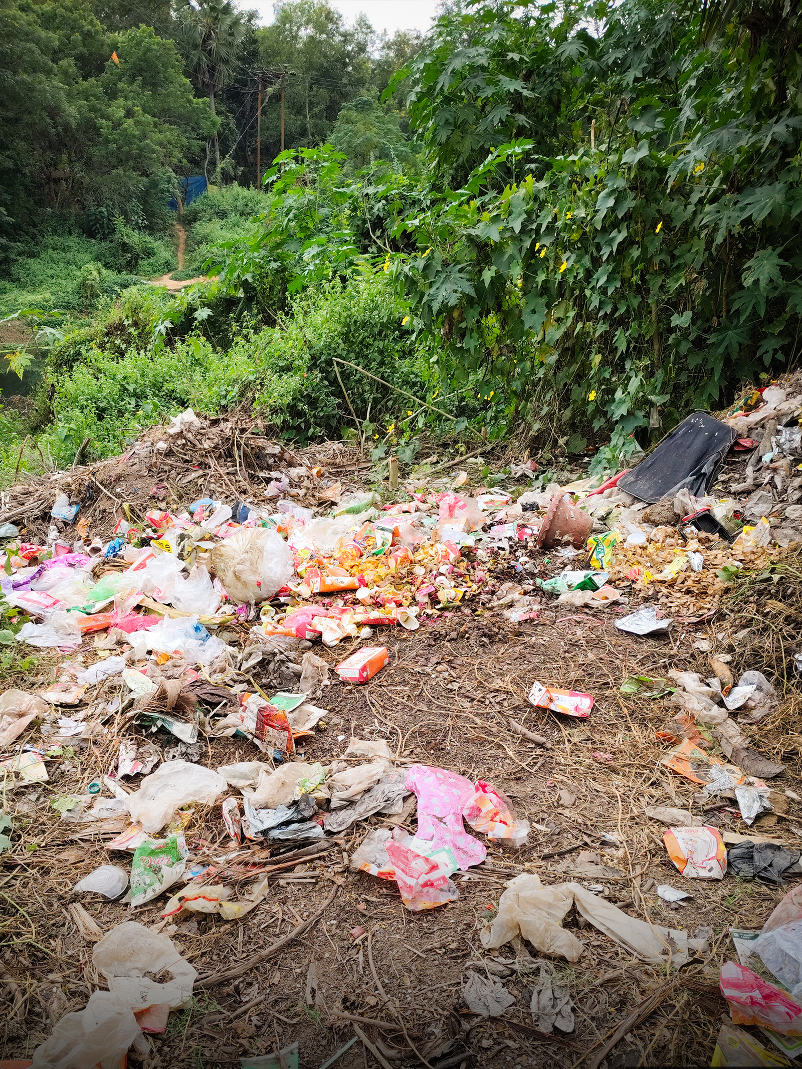 mission clean shantiniketan
